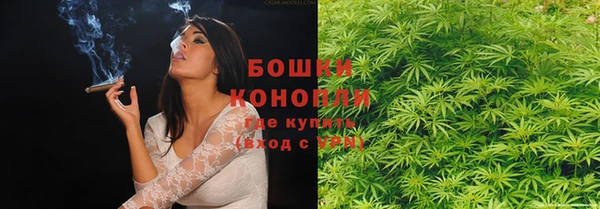 ПСИЛОЦИБИНОВЫЕ ГРИБЫ Остров