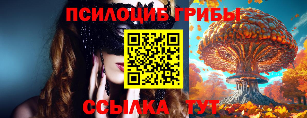 Галлюциногенные грибы MAGIC MUSHROOMS  Псилоцибиновые грибы Psilocybe  Вход с VPN  Белогорск 