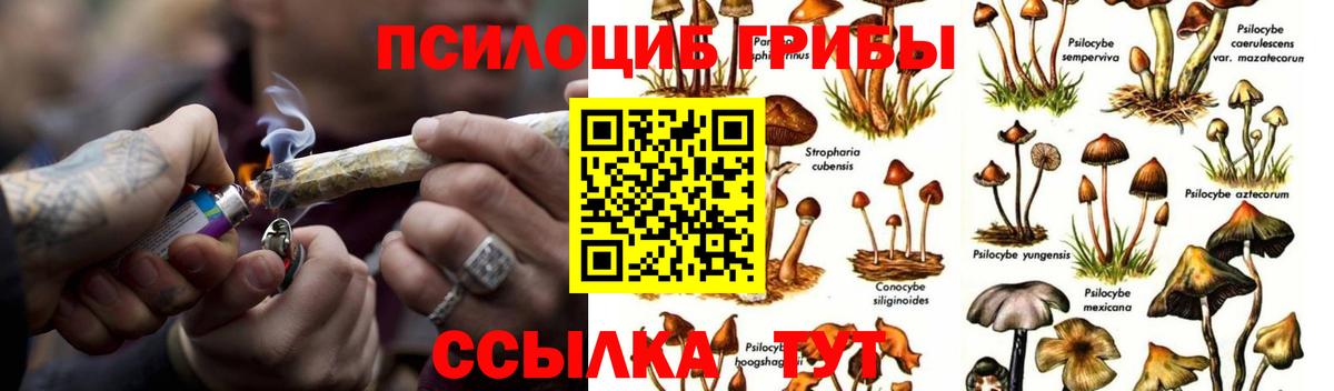 Галлюциногенные грибы GOLDEN TEACHER Белогорск